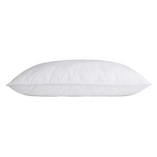 https://assets.wfcdn.com/im/33313163/resize-h310-w310%5Ecompr-r85/2479/247987577/cooling-pillow.jpg