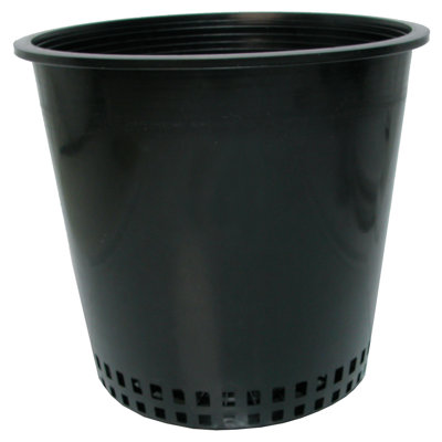 Glass Pot Planter