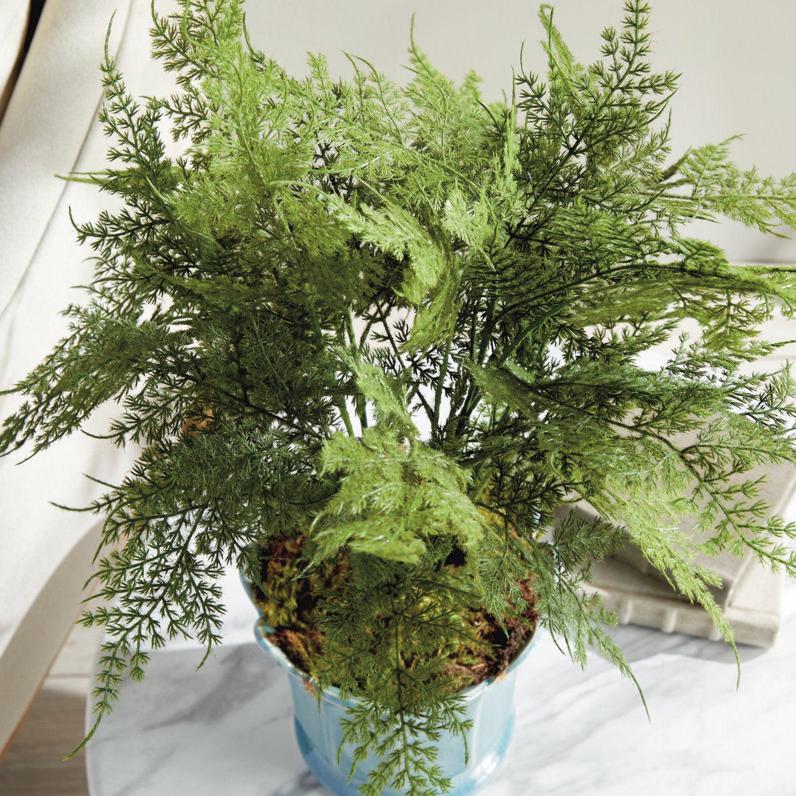 21" Fern Plant in Pot