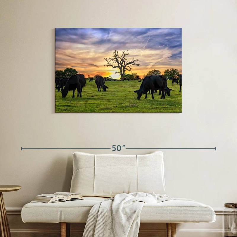Brampt Grazing Aberdeen Angus, 26" H x 39" W