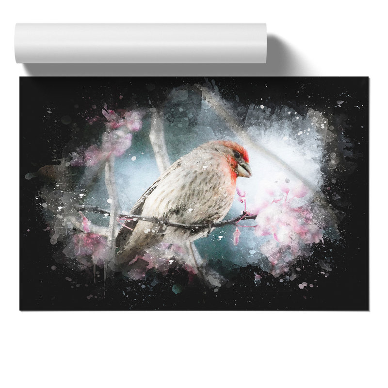 A House Finch Bird Paint Splash - Frameless Print, 59cm H x 84cm W x 0.1cm D