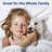 Microfiber Sheet Set-244807711-244807698