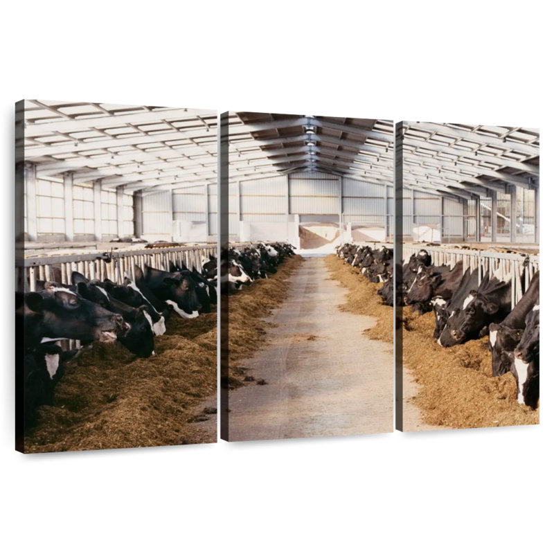 Brampt Barn Cows, 24" H x 38" W