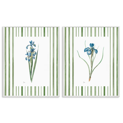 Irises And Stripes 2pc Framed Giclee Set, design by Nan