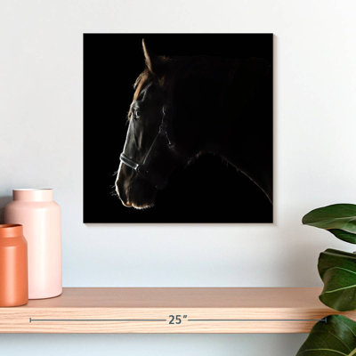 Crowle Black Clydesdale Cross Horse