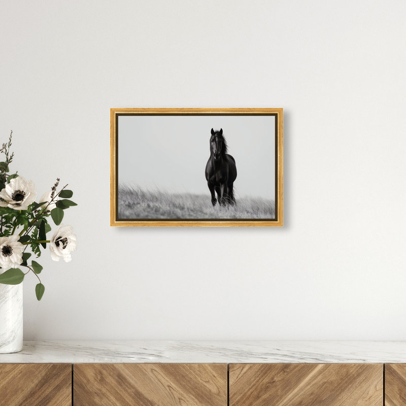 Lone Stallion I Print by Oliver Gal, 11" H x 16" W, Gold Floater Frame
