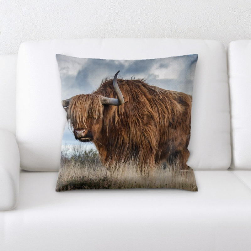 Coussin bull