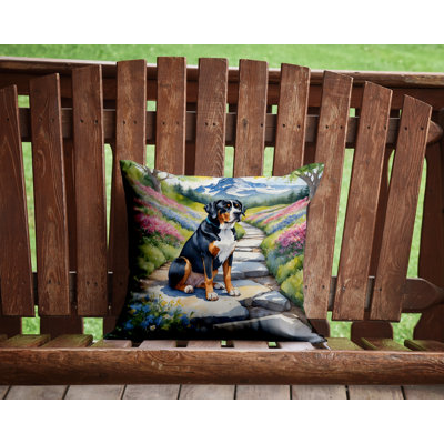 Spring Path Outdoor Throw Pillow