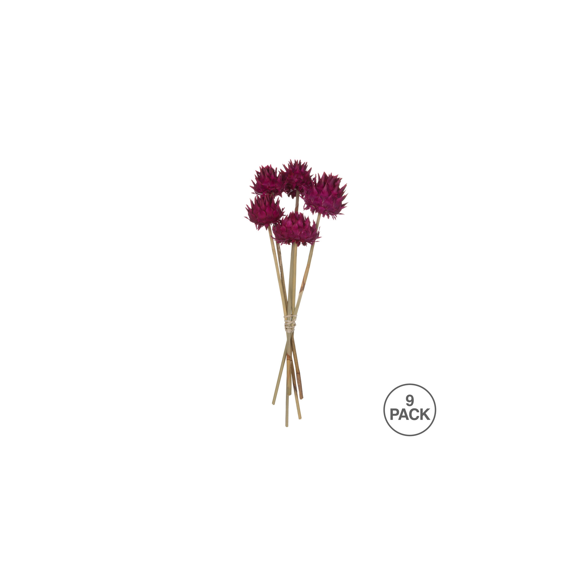 Vickerman 15" Artichoke Head With Reed Stem, Dried Artichoke Arrangement, Raspberry