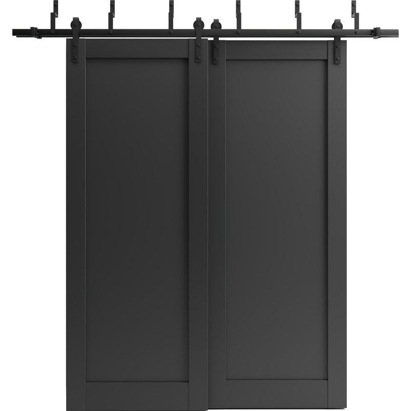 Porte de grange coulissante Quadro, 64 po x 80 po
