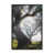 Black n'est pas disponible