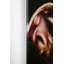 Dog Family Photographic Art Print on Glass