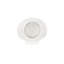 Sea Shell Wall Art, White Stone