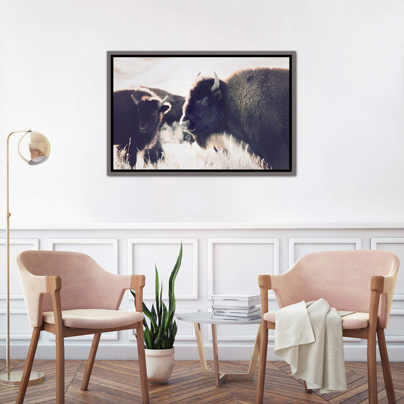 Photographie buffalo, H 18 po x l 26 po x P 1,5 po, Toile encadrée de bois rustique foncé