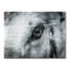 Équitation équestre, impression sur toile tendue-28243206