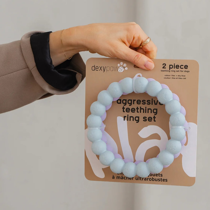 Dexypaws: anneaux à mâcher super - lilas et bleu ciel - jouets de dentition pour chien 2 pièces, mâcheurs agressifs, va-et-vient, cercles texturés, caoutchouc durable, jeu pour animaux