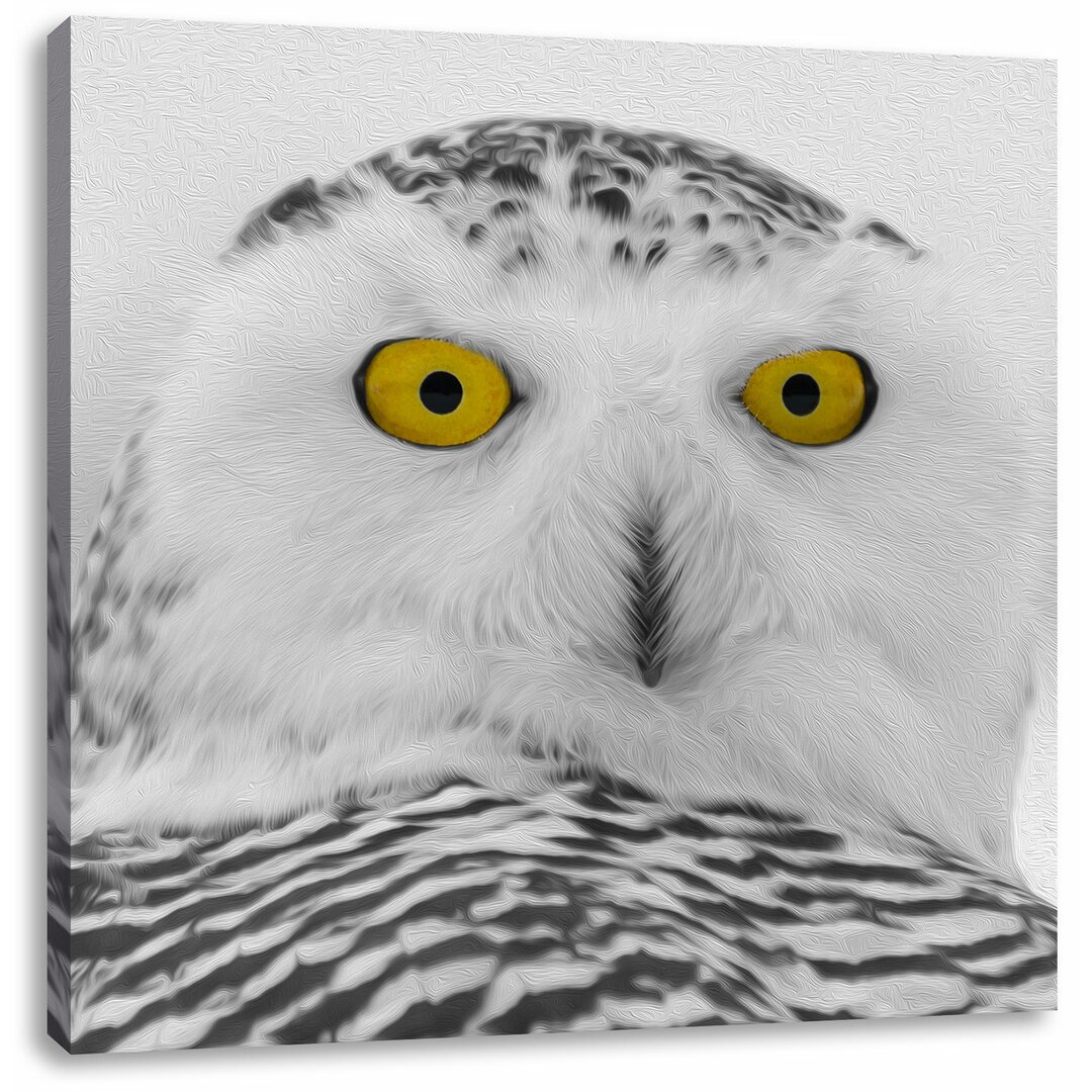 Fotodruck Snow Owl