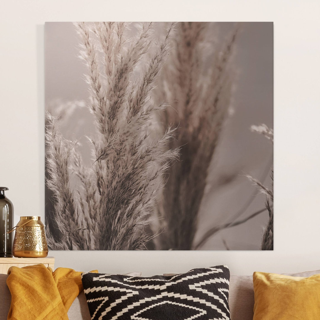 Leinwandbild Pampas Grass in Late Autumn von Monika Strigel