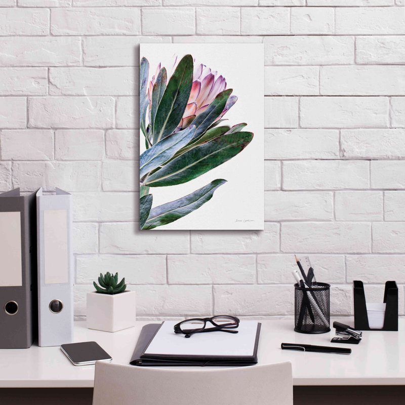 «Protea In Leaf On Canvas» par Elise Catterall, H 18 po x l 12 po x P 0,75 po