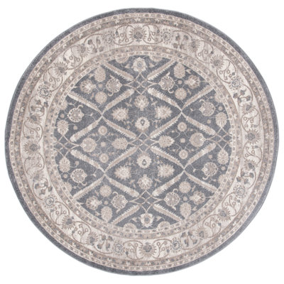 Walken Performance Oriental Rug