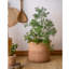 Pot de fleurs en béton-88364633