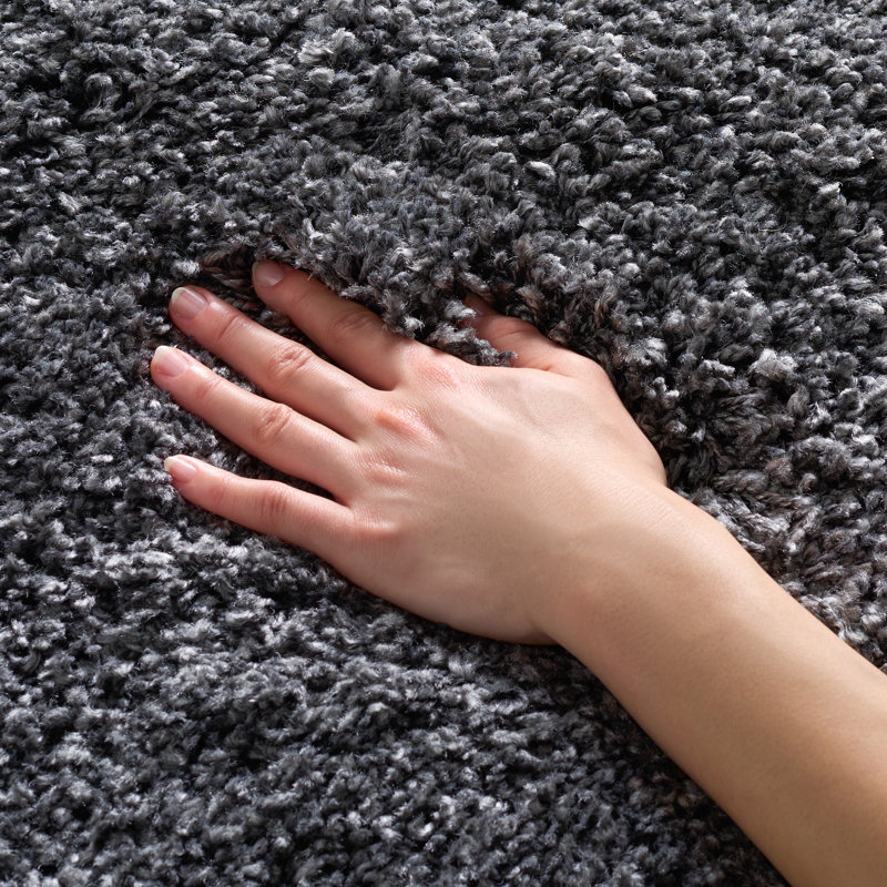 Tapis gris foncé Delane, Rectangle 4 pi x 6 pi