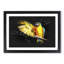 Yellow Macaw Parrot - Framed Print-56841861-56841862
