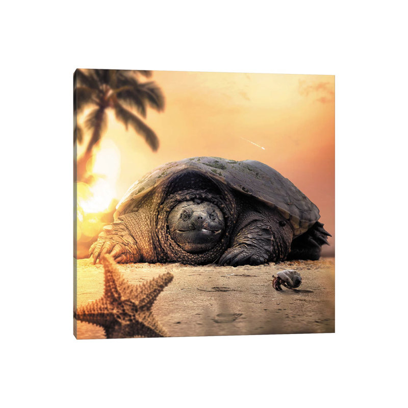 " Tortoise " by Zenja Gammer, Wrapped Canvas, No Matte, 37" H x 37" W x 1.5" D