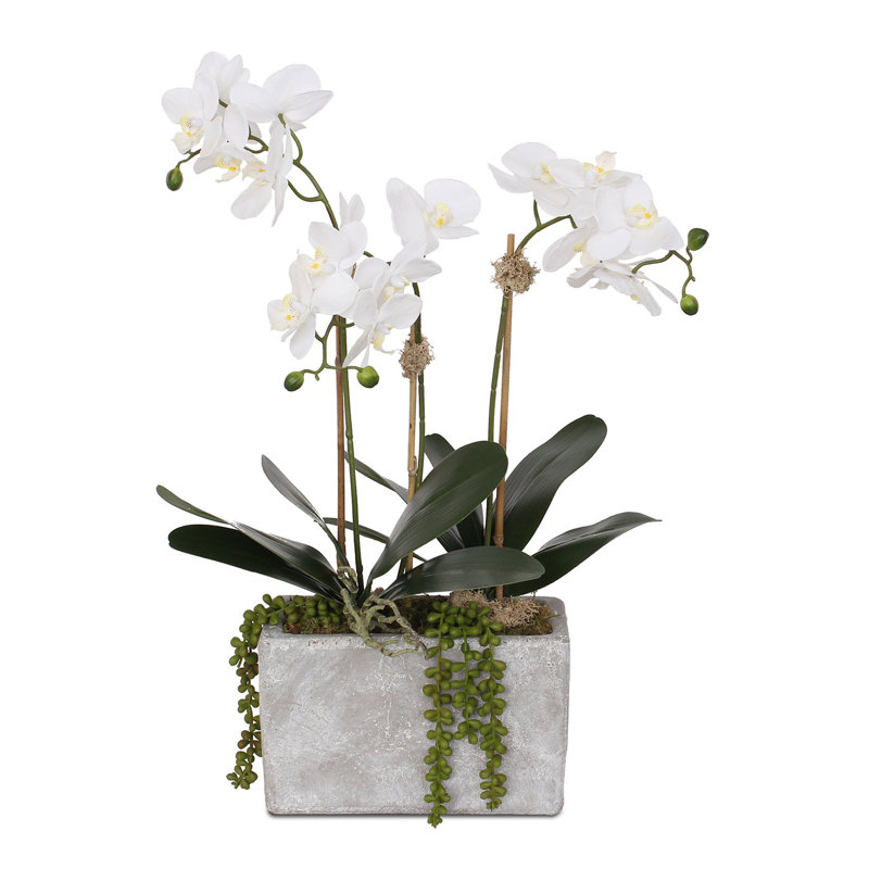 Arrangement floral orchidées