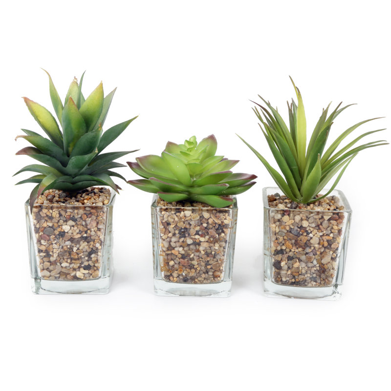 19cm Faux Succulent Plant in Glass Pot