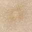 Tapis beige / beige en laine touffeté à la main Amier-27095376