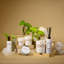Vaporisateur tout-en-un 5 oz-111113206