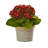 Kalanchoe Artificial Plants Set of Three