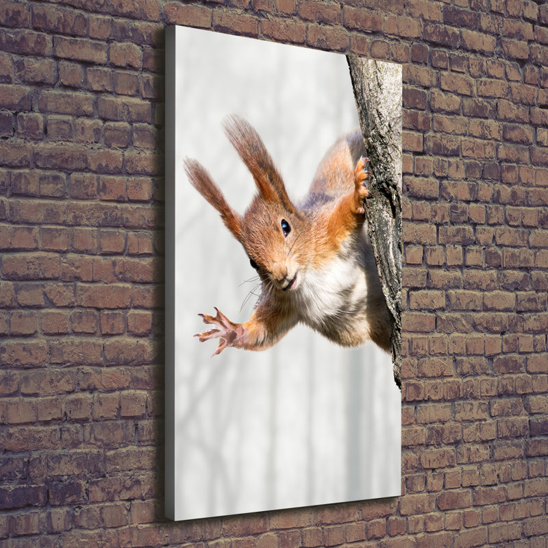 Squirrel On The Tree - Wrapped Canvas Print