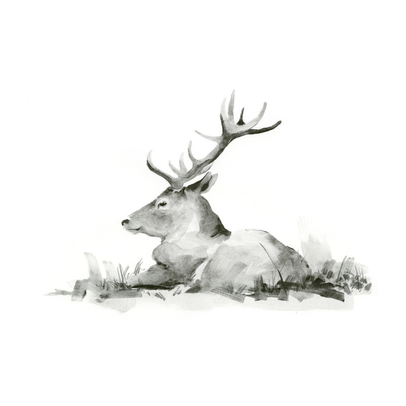«Recumbent Stag II» par Jacob Green - reproduction imprimée, H 24 po x l 36 po