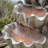 20'' Ocean-Themed Outdoor Fountain With LED Lights & 3W ETL Pump – Shell & Starfish Design