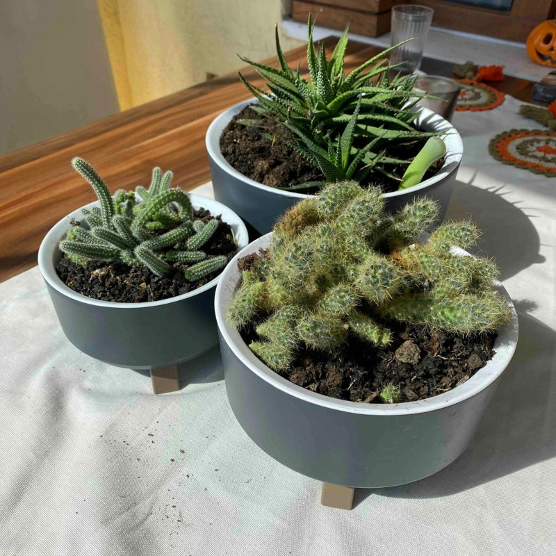 Ensemble de 3 pots à fleurs en plastique pour plantes avec trou de drainage Ginza Maison , Gris