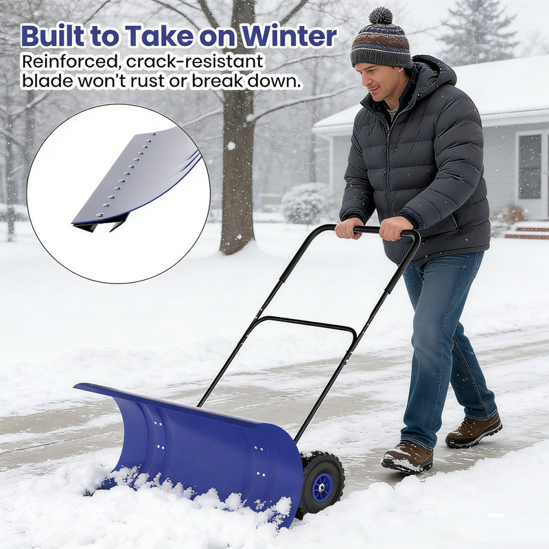 Push Brooms, Black/Blue