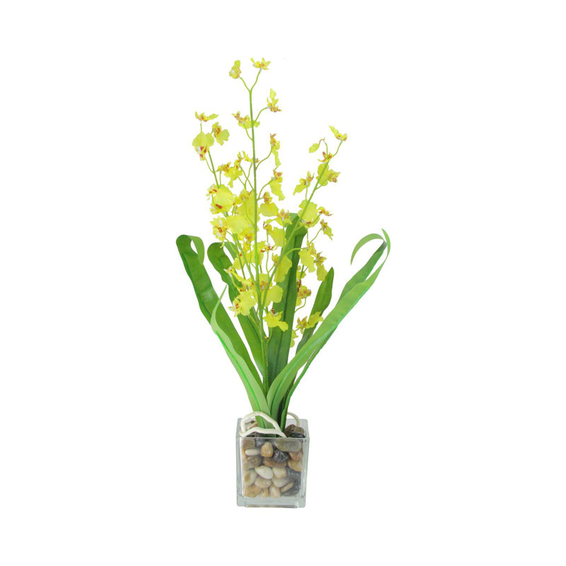 Orchidée artificielle verte et jaune 23,5 po