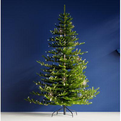 Lighted Christmas Tree