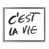 Cadre flottant gris lustré