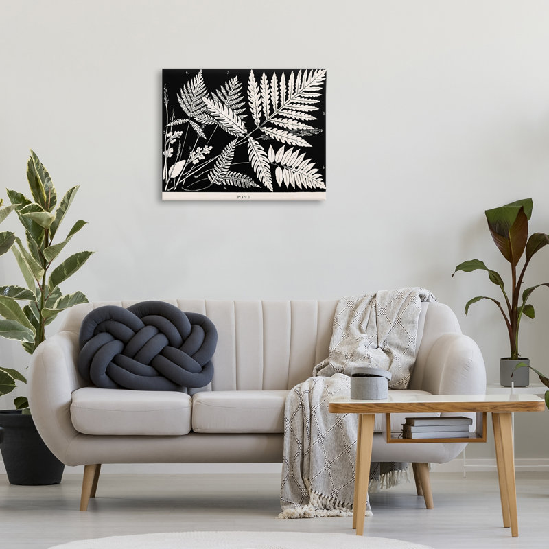 Fougères superposées sur toile noire, design par Phillipa Katz, H 24 po x l 30 po