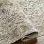 Weir Machine Washable Oriental Taupe/Cream Area Rug-70927093