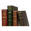 12 Piece Rebound Decorative Book Set