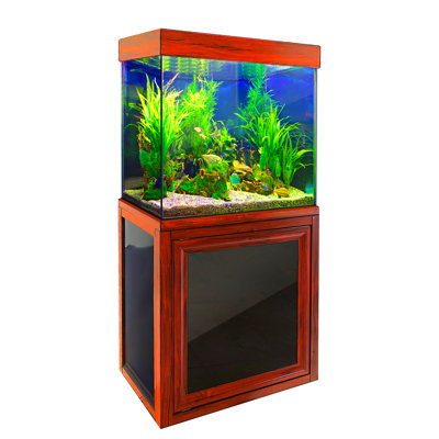 Yohan 40 Gallon Rectangle Aquarium Tank
