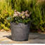 Pot Planter-111647976