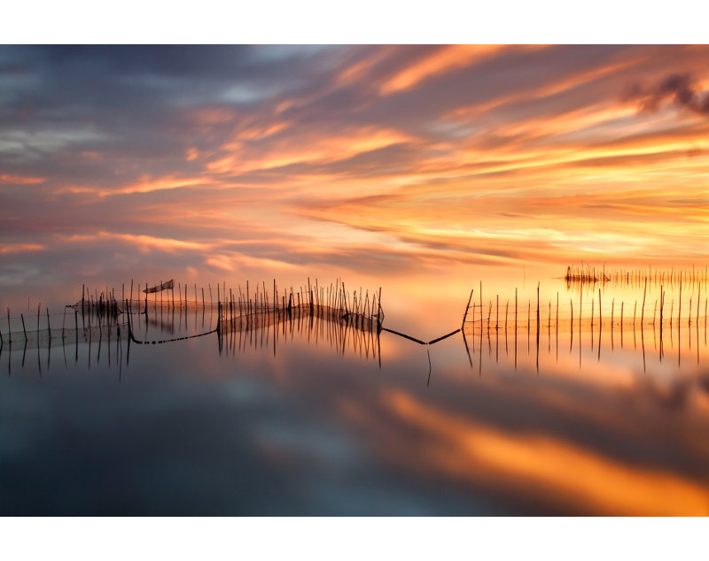 Wrapped Canvas Print, 91.44 cm H x 60.96 cm W