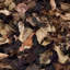 Tapis brun à poils longs Godsey-583220247