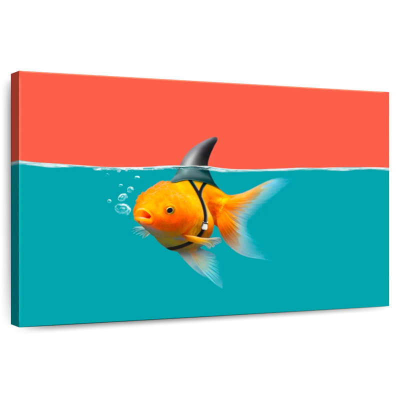 Brampt Goldfish As A Shark, 30" H x 45" W