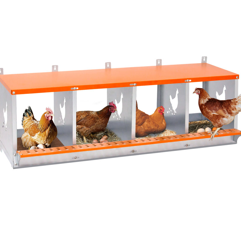 Nichoir mural à 4 compartiments en acier galvanisé orange pour canards, avec coussin en fibre de coco naturelle, ventilation, montage et nettoyage faciles, favorisant le confort de ponte
